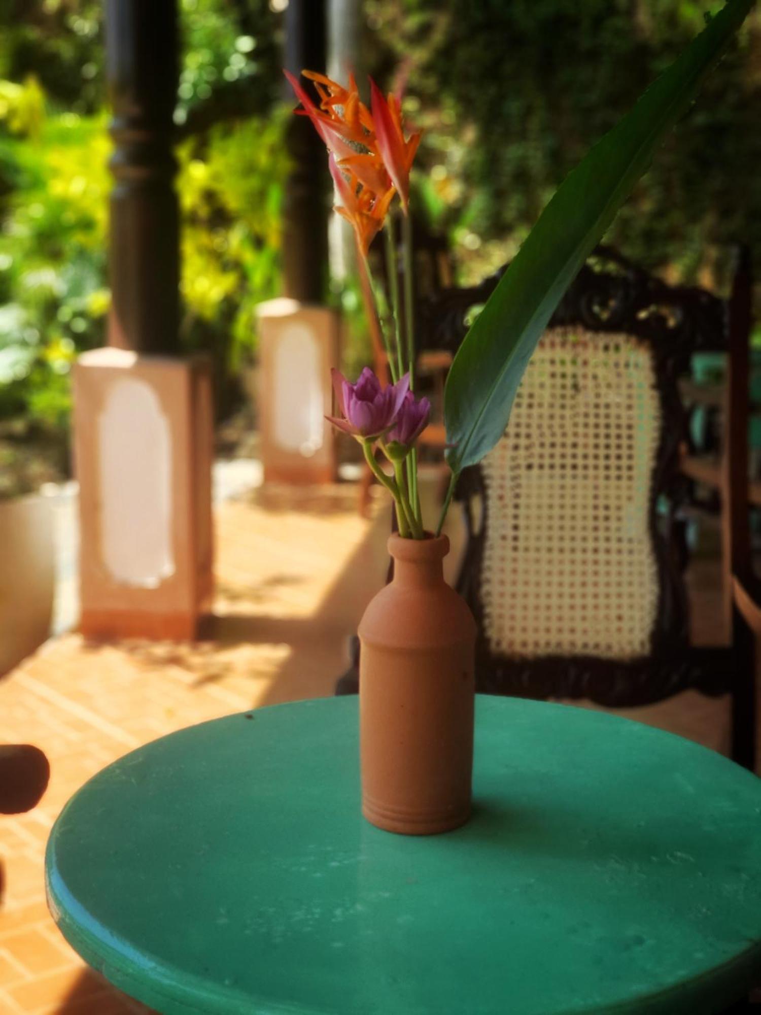 מלון מיריסה Hill House Guest מראה חיצוני תמונה